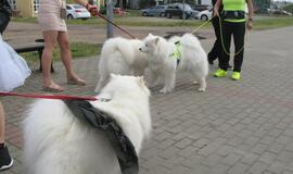 Keturkojų debesėlių sąskrydis