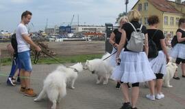 Keturkojų debesėlių sąskrydis