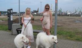 Keturkojų debesėlių sąskrydis