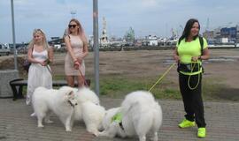 Keturkojų debesėlių sąskrydis