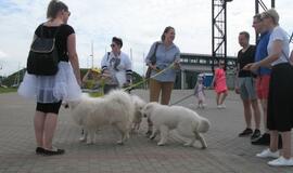 Keturkojų debesėlių sąskrydis