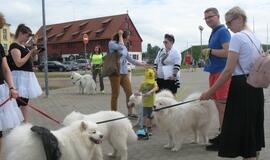 Keturkojų debesėlių sąskrydis