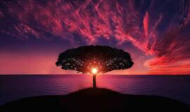 Pirmadienio horoskopas 12-kai zodiako ženklų