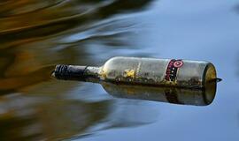 Seimo komitetas spręs, kur mesti tuščius vyno ir degtinės butelius