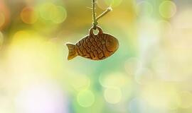 Sekmadienio horoskopas 12 zodiako ženklų