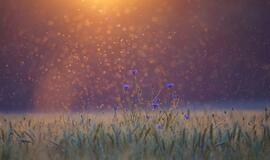 Antradienio horoskopas 12-kai zodiako ženklų