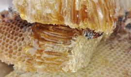 Ką vartoti, norint užbėgti virusams už akių?