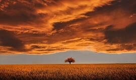 Ketvirtadienio horoskopas 12-kai zodiako ženklų