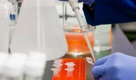 Kretingos rajone vėl tirs intensyviau