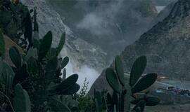 Nidos meno kolonijoje - vasaros paroda