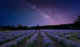 Penktadienio horoskopas 12-kai zodiako ženklų