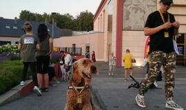 Šv. Magdalenos naktis Klaipėdoje