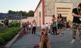 Šv. Magdalenos naktis Klaipėdoje