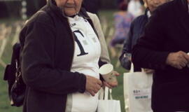 Senjorams karių pasisveikinimas su šūviu iš istorinio pabūklo