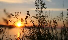 Pirmadienio horoskopas 12-kai zodiako ženklų