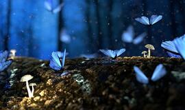 Sekmadienio horoskopas 12-kai zodiako ženklų