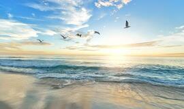 Sekmadiienio horoskopas 12-kai zodiako ženklų