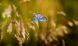 Šeštadienio horoskopas 12-ai zodiako ženklų