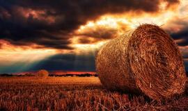 Šeštadienio horoskopas 12-kai zodiako ženklų