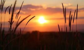 Šeštadienio horoskopas 12-kai zodiako ženklų