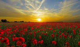 Trečiadienio horoskopas 12-kai zodiako ženklų