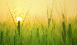 Antradienio horoskopas 12-kai zodiako ženklų