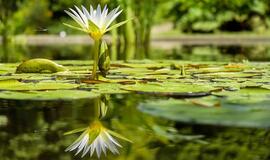 Penktadienio horoskopas 12-kai zodiako ženklų