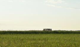 Atrask savo kraštą: Tulkiaragės pievų pasaulis