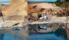 "Gyvenimas Kuršių nerijoje XIX a. viduryje"