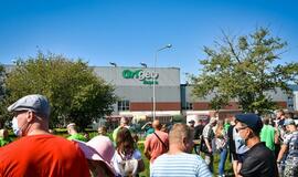 Piketas prie "Grigeo Klaipėda"