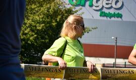 Piketas prie "Grigeo Klaipėda"