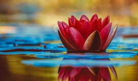 Pirmadienio horoskopas 12-kai zodiako ženklų