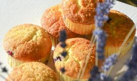 Savaitgalio kavai pagardinti: citrininiai keksiukai su šilauogėmis