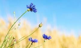 Šeštadienio horoskopas 12-kai zodiako ženklų