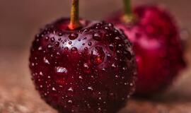 Šeštadienio horoskopas 12-kai zodiako ženklų