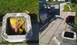 Šiukšlinėje - kiaulių galvos