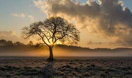 Antradienio horoskopas 12-ai zodiako ženklų