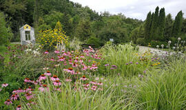 Kaimui į pagalbą ateina mokslo ir mokymo įstaigos