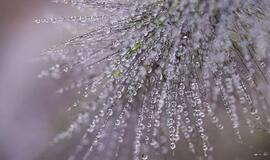 Ketvirtadienio horoskopas 12-ai zodiako ženklų