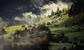 Ketvirtadienio horoskopas 12-ai zodiako ženklų