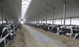 Pandemijos pasekmėms švelninti žemės ūkyje – įvairios pagalbos priemonės