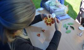 „Kaip gimsta gėlės"