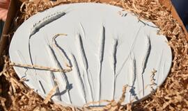 „Kaip gimsta gėlės"