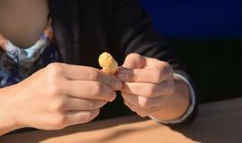 „Kaip gimsta gėlės"