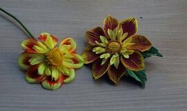 „Kaip gimsta gėlės"