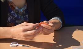 „Kaip gimsta gėlės"