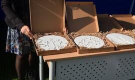 „Kaip gimsta gėlės"