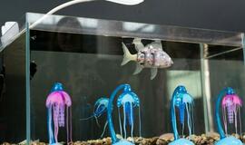 Robotai, virtuali realybė ir neišdildomi įspūdžiai