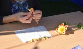 „Kaip gimsta gėlės"