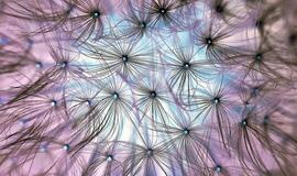 Sekmadienio horoskopas 12-ai zodiako ženklų